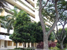Blk 414 Pandan Gardens (Jurong East), HDB 4 Rooms #368312